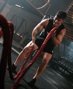 Optimum Nutrition Campaign